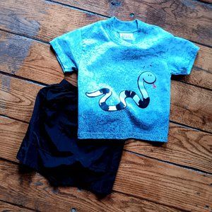 Boys Short Set 24 Months. NWOT Shirt and Shorts Set, Silly Snake!